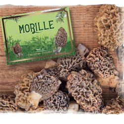 Moutarde Morille - 100 g