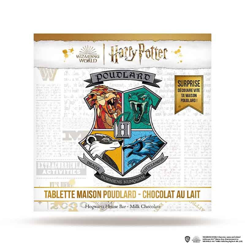 Chocolat à Casser - Chocogrenouille - Harry Potter - Le Comptoir de  Mathilde - Istres