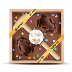 Baguette au chocolat Hermione - Produits alimentaires - LIVRES -   - Livres + cadeaux + jeux